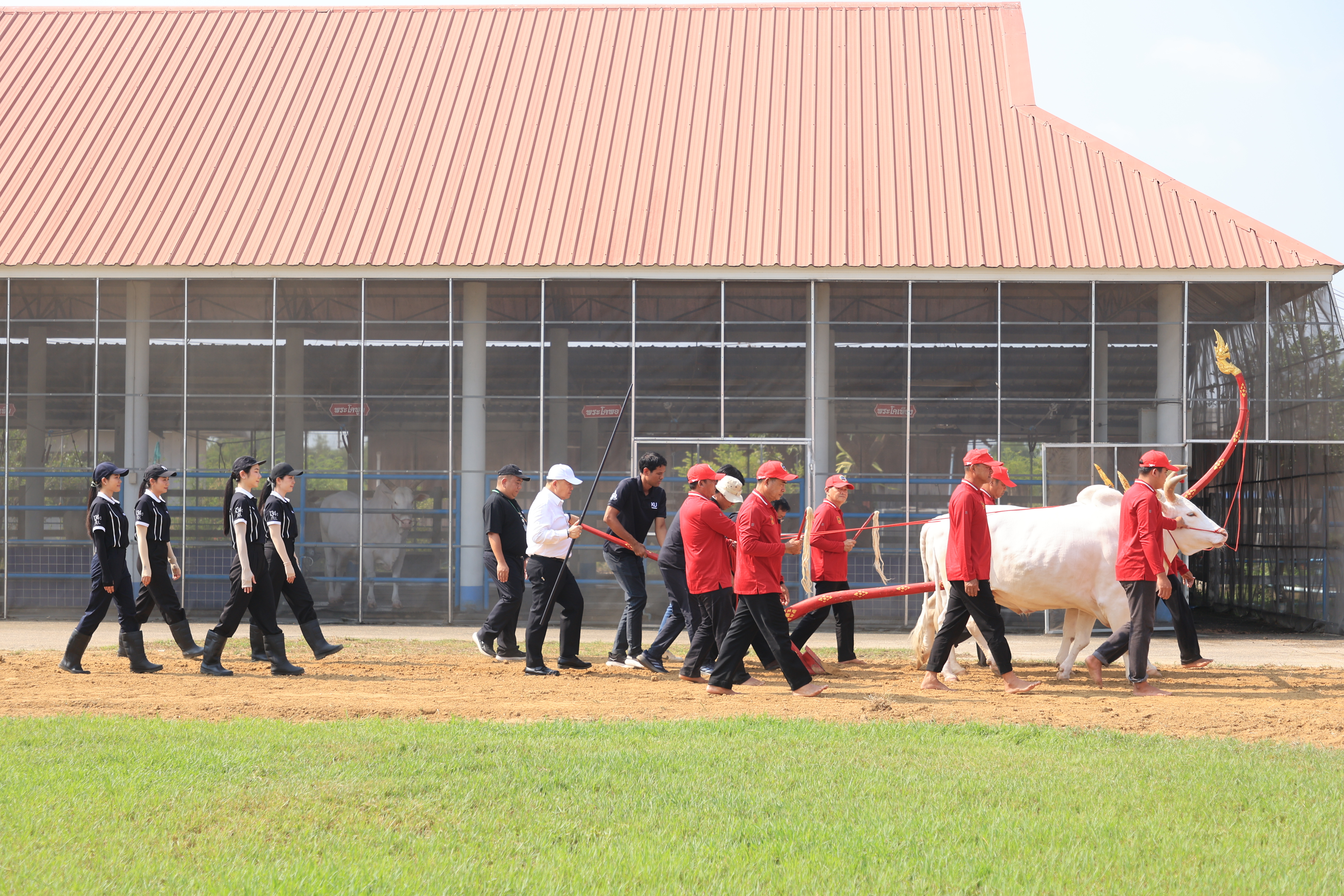 title - ส.ป.ก. เข้าร่วมการตรวจเยี่ยมการจัดเตรียมพระโค ในงานพระราชพิธีพืชมงคลจรดพระนังคัลแรกนาขวัญ ประจำปี 2569